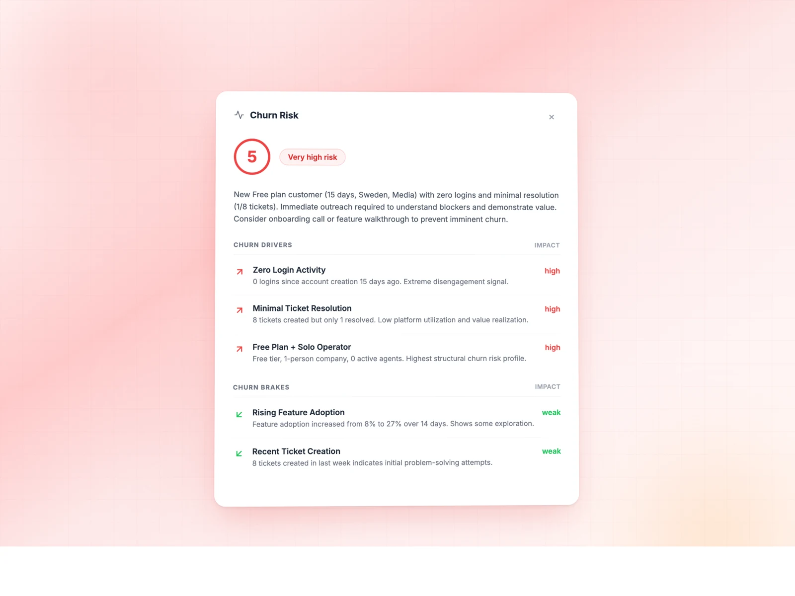 AI churn risk insight